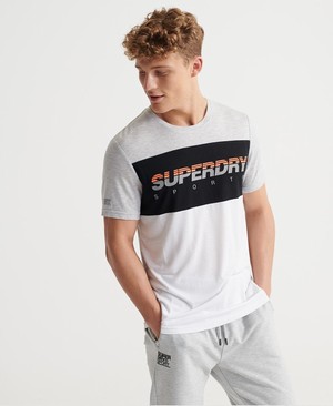 Superdry Training Graphic Block Férfi Pólók Világos Szürke | AOIMT6259